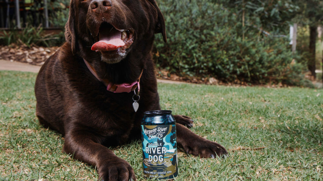 Double River Dog: From the Rivermouth