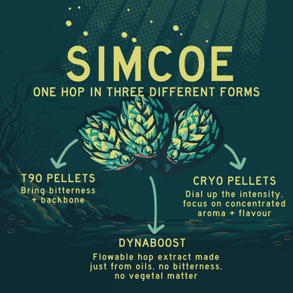 DEEP DIVE III: SIMCOE
